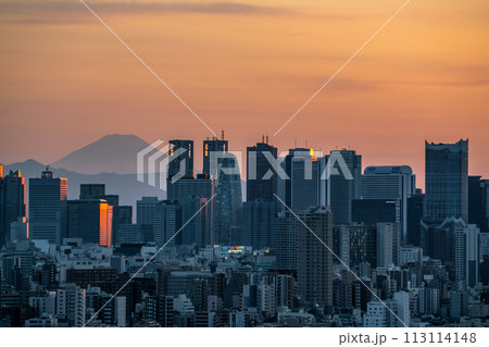 【東京都】夕暮れの新宿副都心 113114148