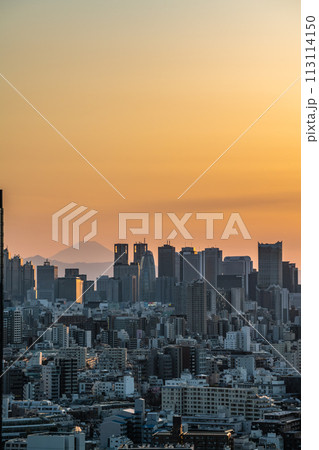 【東京都】夕暮れの新宿副都心 【東京都】夕暮れの新宿副都心 113114150