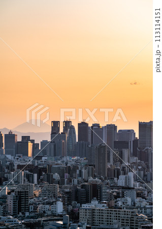 【東京都】夕暮れの新宿副都心 【東京都】夕暮れの新宿副都心 113114151