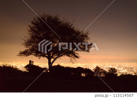 なるかわ園地　ぼくらの広場からの夜景 113114507