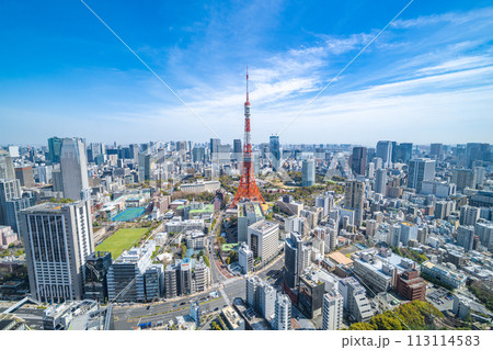 麻布台ヒルズから眺める東京の都市風景 113114583