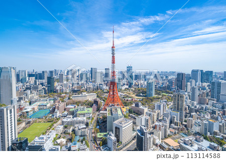麻布台ヒルズから眺める東京の都市風景 麻布台ヒルズから眺める東京の都市風景 113114588