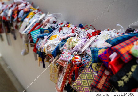 京都 京都市 京都府 113114600