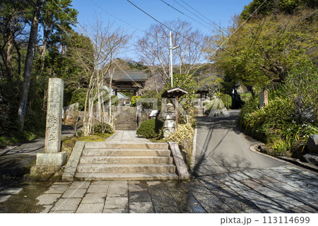 鎌倉243 海蔵寺 門前 鎌倉243 海蔵寺 門前 113114699
