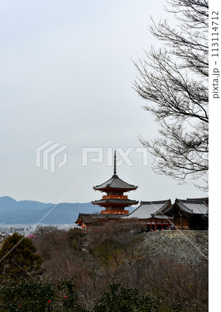 春の清水寺 三重塔 春の清水寺 三重塔 113114712