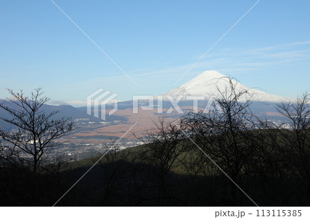 蘆ノ湖スカイラインからの富士山 蘆ノ湖スカイラインからの富士山 113115385