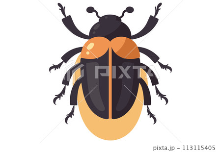 Beetle Rhino Illustration Clip Art Design Shape, Beetle Icon Vector Beetle Rhino Illustration Clip Art Design Shape, Beetle Icon Vector 113115405