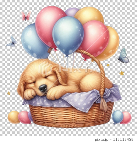 Dog sleeping in a basket of balloons Dog sleeping in a basket of balloons 113115459