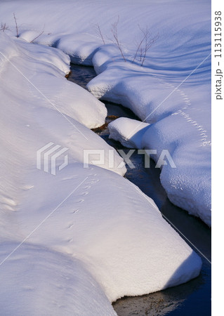 冬の有島記念公園の雪原を流れる小川 冬の有島記念公園の雪原を流れる小川 113115938