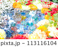 水に浮かぶ花 113116104