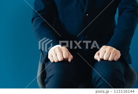 面談をするスーツ姿のビジネスマン 113116144