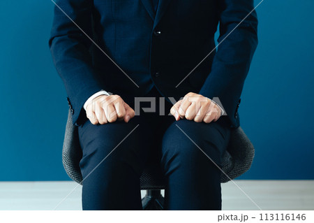 面談をするスーツ姿のビジネスマン 113116146