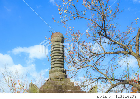 石塔と白梅【大王わさび農場にて】 113116238