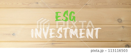 ESG environmental social governance investment symbol. Concept words ESG investment on beautiful wooden wall. Beautiful wooden wall background. Business ESG investment concept. Copy space. 113116503