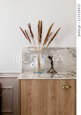Twig plant in a hardwood vase on wooden cabinetry next to a statue Twig plant in a hardwood vase on wooden cabinetry next to a statue 113116815