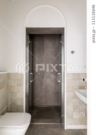 a bathroom with a toilet , sink and shower 113116846