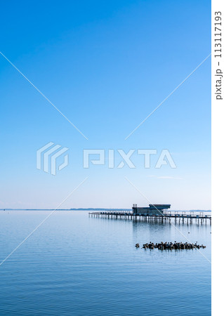 【茨城県】冬の晴天の霞ヶ浦 113117193