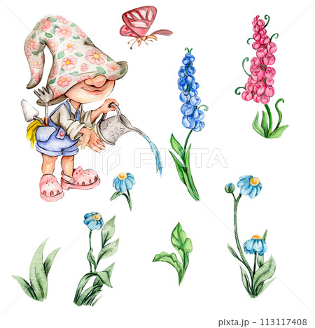 Watercolor hand drawn cute Nordic gnomes, Scandinavian gnomes and flowers and leaves watercolor illustration. Design for baby shower party, birthday, cake, holiday celebration, greetings cards. Watercolor hand drawn cute Nordic gnomes, Scandinavian gnomes and flowers and leaves watercolor illustration. Design for baby shower party, birthday, cake, holiday celebration, greetings cards. 113117408