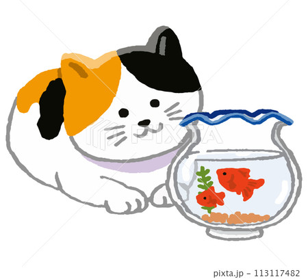 猫と金魚鉢の中の金魚 113117482