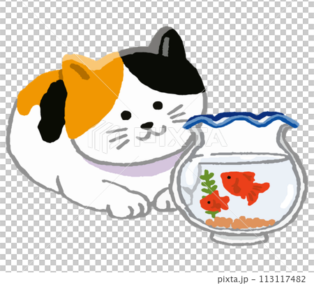 cat and goldfish in a fishbowl cat and goldfish in a fishbowl 113117482