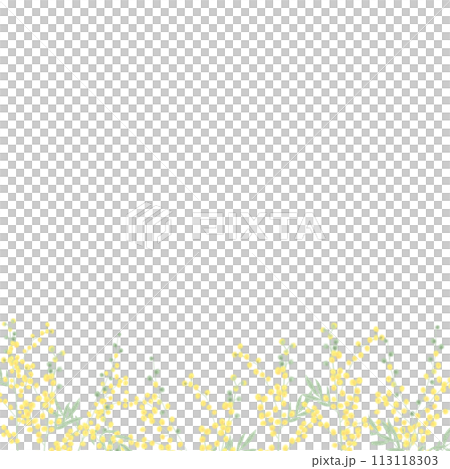 ミモザの花畑ー下側 113118303