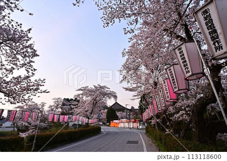 桜咲く篠山城跡 113118600