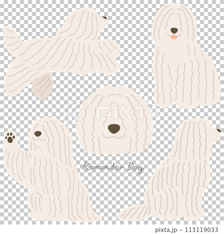 簡單可愛的無主線的可蒙多犬插畫集 113119033