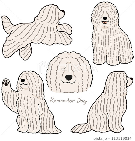 シンプルで可愛いコモンドールのイラストセット　主線あり 113119034