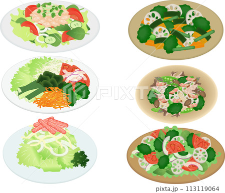 サラダセット 113119064