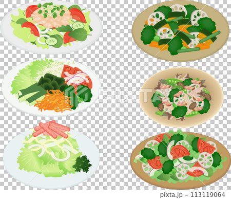 サラダセット 113119064