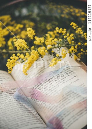 本とミモザ 本とミモザ 113119181