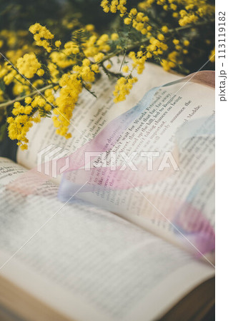 本とミモザ 本とミモザ 113119182