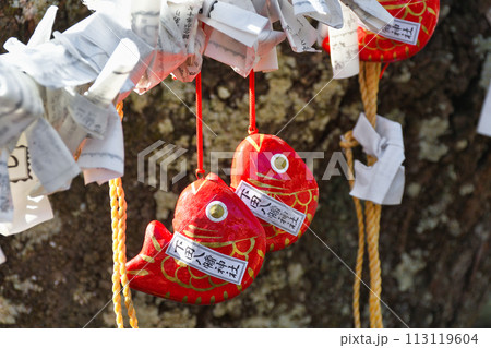 下田 八幡神社(静岡県下田市) 下田 八幡神社(静岡県下田市) 113119604