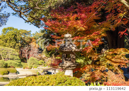 （東京都）六義園　紅葉 113119642