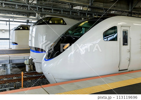 敦賀駅の特急ホームに並ぶサンダーバード 敦賀駅の特急ホームに並ぶサンダーバード 113119696