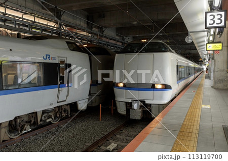 敦賀駅の特急ホームに並ぶサンダーバード 敦賀駅の特急ホームに並ぶサンダーバード 113119700