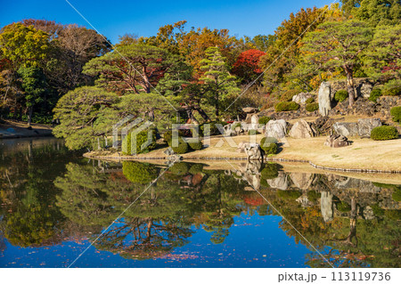 (東京都)紅葉期の六義園 (東京都)紅葉期の六義園 113119736