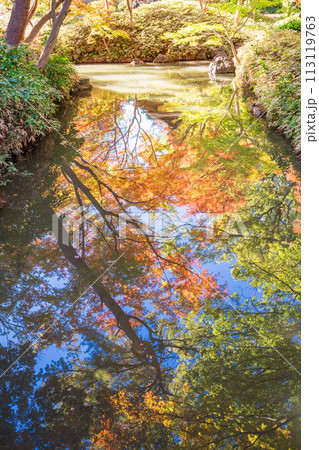 (東京都)六義園 池に映る紅葉 (東京都)六義園 池に映る紅葉 113119763