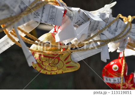 下田 八幡神社（静岡県下田市） 113119851