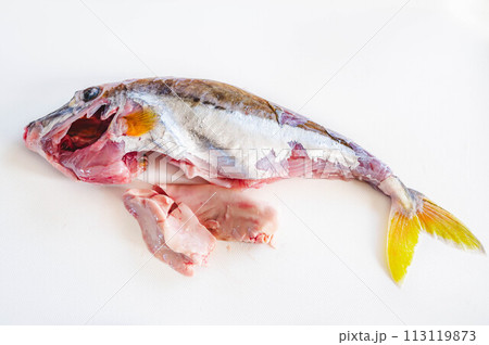 下処理した魚　ギマ 113119873