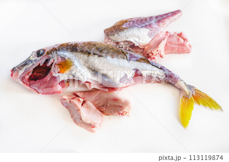 下処理した魚　ギマ 113119874