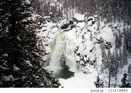 Lower Yellowstone Falls in Winter 113119964