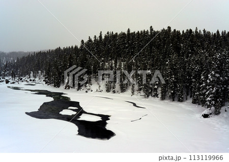 Yellowstone Winter Snow Madison River 113119966