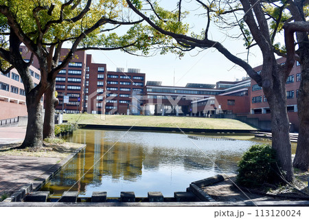 筑波大学 113120024