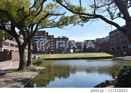 筑波大学 筑波大学 113120025