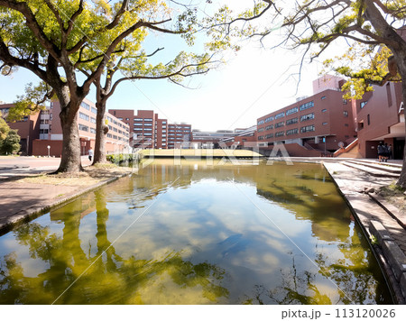 筑波大学 筑波大学 113120026