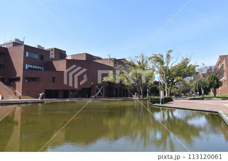 筑波大学 113120061