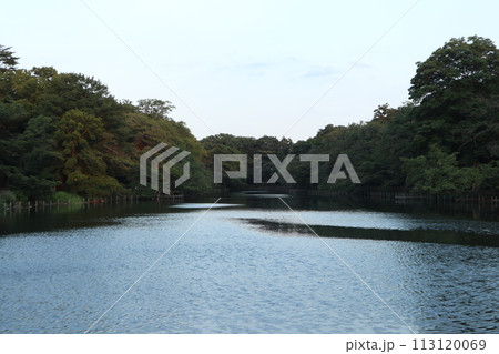 東京 井の頭恩賜公園 113120069