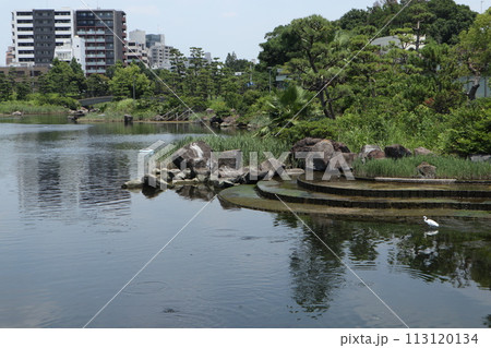 品川区民公園 113120134
