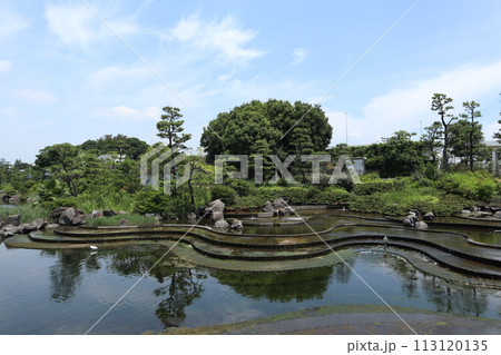品川区民公園 113120135